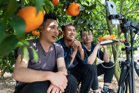 【在希望的田野上】广西富川：“橙”就大产业 脐橙飘香富瑶乡_腾讯新闻