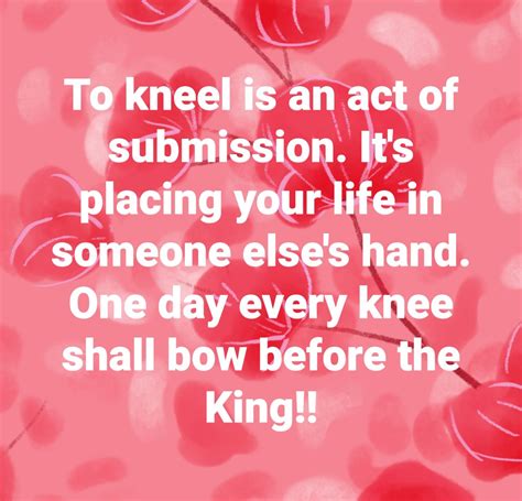 Plead 的图像结果