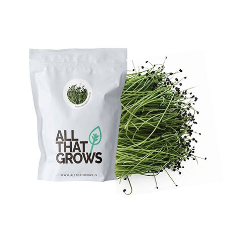 Onion Microgreen Seeds | Non-GMO, Non-Hybrid Seeds Online