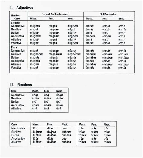 Latin Noun Declension Chart