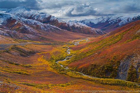 Brooks Range | Photos by Ron Niebrugge