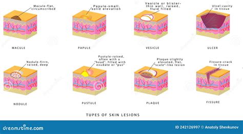 Image result for How to Link JavaScript In HTML