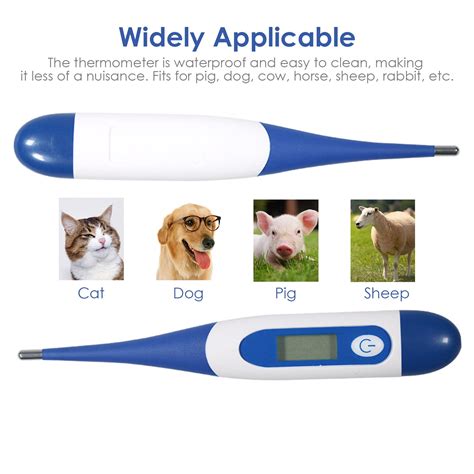 Can You Use A Digital Thermometer On A Dog