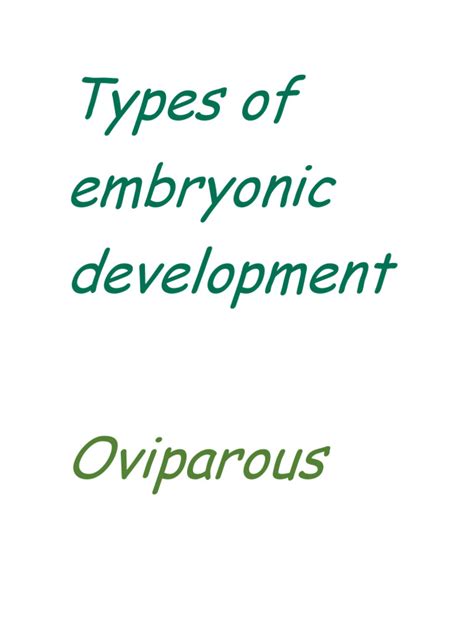 Image result for Types of Embryonic Development