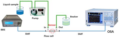 Label-Free DNA Hybridization Detection Using a Highly Sensitive Fiber ...