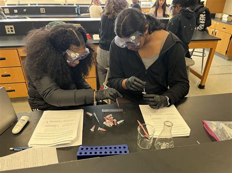 Student Life - Avondale High School - Stories