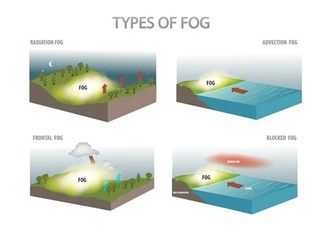 Image result for Types Fog