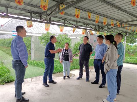 省农业生态环境保护站领导到荆州考察指导生态农场创建工作 - 荆州市农业农村局