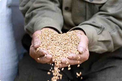 एक आदमी का फितरा कितना है?