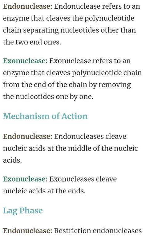 what is difference between Endonuclease and Exonuclease - Brainly.in