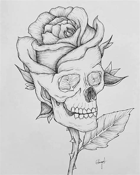 Drawn Skull And Roses