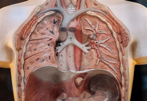 Biology Laboratory Equipment 的图像结果