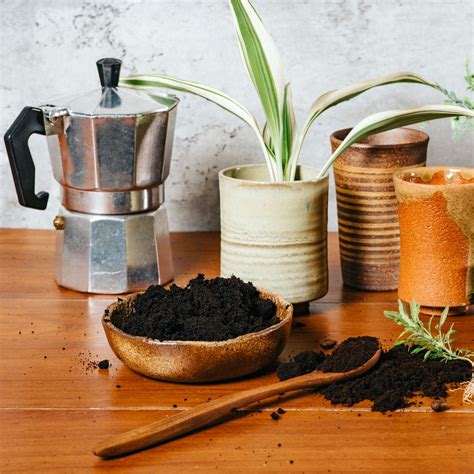 Use Coffee Grounds On Plants To Give Your Garden A Boost | Gardening ...