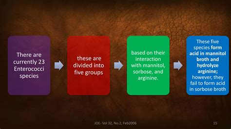 Image result for Enterococcus Faecalis Treatment Options