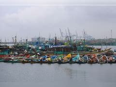 Fever Treatment : बुखार होने पर क्या-क्या खाना चाहिए? जल्दी ठीक होने के ...