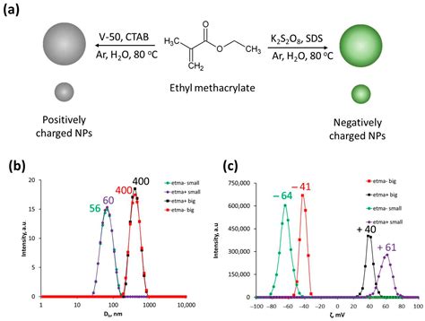 Effect of Size Asymmetry of Latex Nanoparticles on Formation and ...