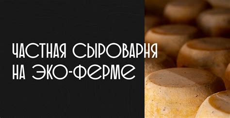 Молочное ранчо|Частная сыроварня в Башкирии, Новокурмашево