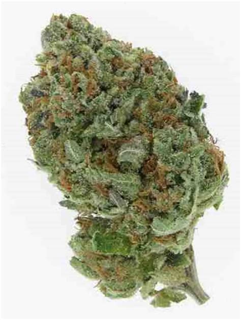 Image result for Alien Omega