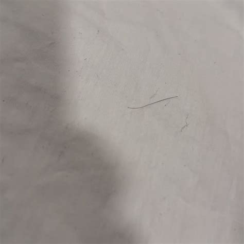 SIEGEL SELECT - CONVENTION CENTER - Prices & Motel Reviews (Las Vegas, NV)