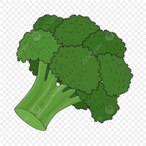 Of Broccoli Clipart Vector, Broccoli Clipart Green Broccoli, Broccoli ...