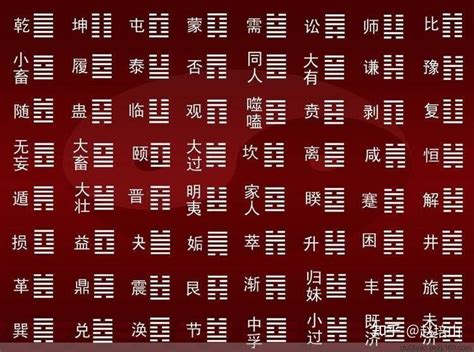 周易玩辞 16卷 项安世（宋）通志堂 清刊本 – 红叶山古籍文库