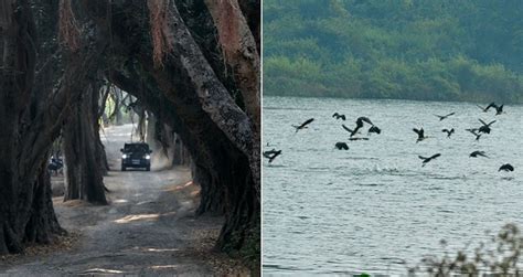 Bihar and Jharkhand News Service: Income dries up for locals as Dhanbad ...