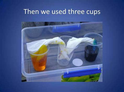 Image result for Science of Absorption