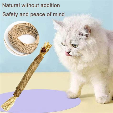 Buy BDYJY Cat Toy Clean Cat Cat Teeth Toy Stick Mutian Clean Polygonum ...