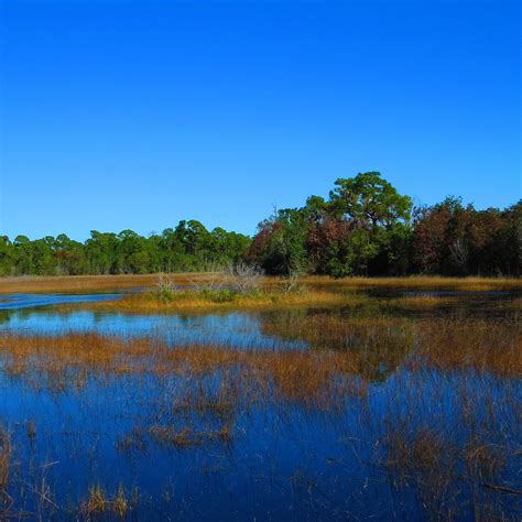 SPRUCE BLUFF PRESERVE (2026) All You Need to Know BEFORE You Go (with ...