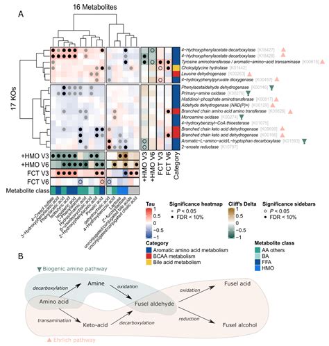 An Extensively Hydrolyzed Formula Supplemented with Two Human Milk ...