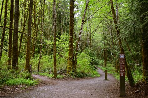 Lake Whatcom – Parks & Rec – 48 Degrees North