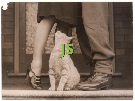 Rezultat imagine pentru JS Meaning Text