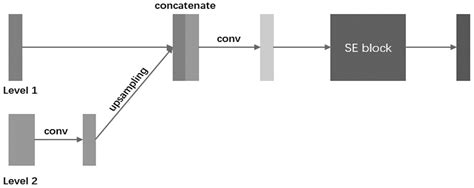 SECP-Net: SE-Connection Pyramid Network for Segmentation of Organs at ...