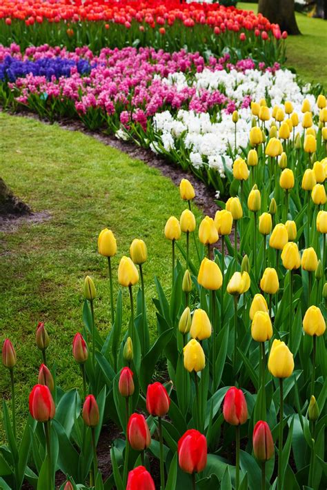 27 Best Flower Bed Ideas (Decorations and Designs) for 2023