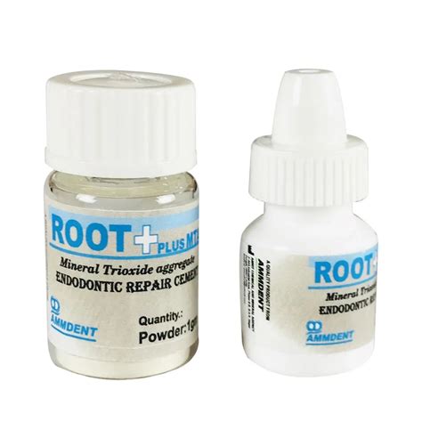 Buy Ammdent Root Plus MTA – Oralkart