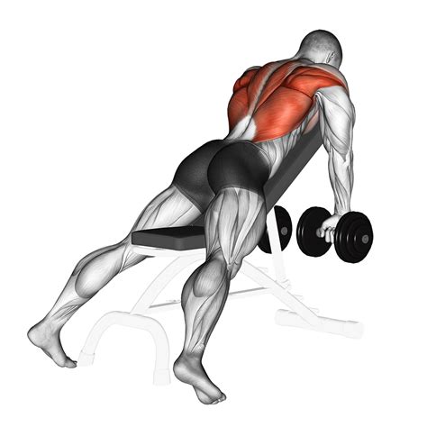 Incline Dumbbell Row