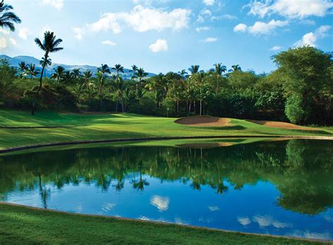 Image result for wailea golf club