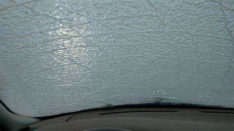 Image result for Totally Random Facts