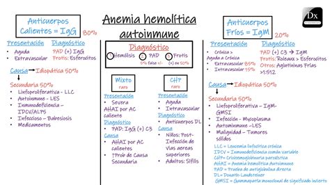 Anemia Hemolítica: Causas, Síntomas, Diagnóstico Y Tratamiento | Doctor Online