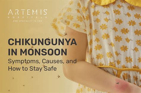 World Malaria Day 2025: Theme, Awareness & Key Initiatives| Artemis ...