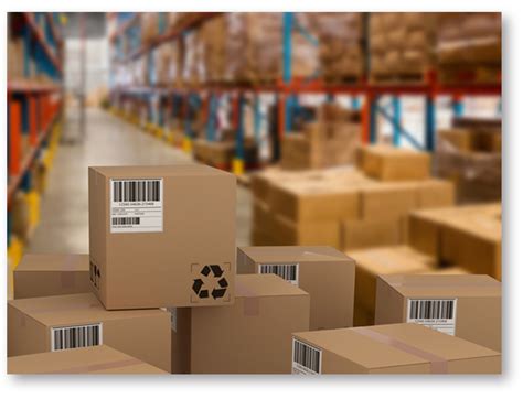 ASPV: Pioneering Industrial Packaging Solutions for a Dynamic World