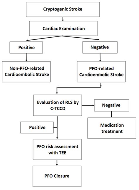 Right-to-Left Shunt Evaluation in Cardiac Patent Foramen Ovale Using Bubble Contrast ...