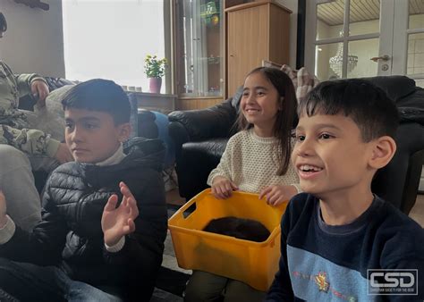 Europe in Sign Language 的图像结果