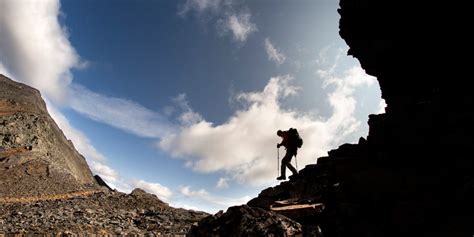 Op-Ed: This 65-kilometre resource road planned for Yukon wilderness will serve mines, not ...