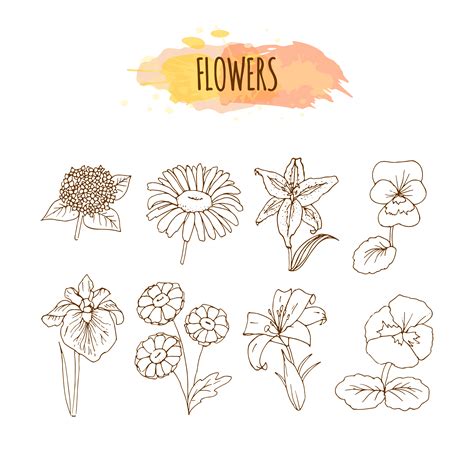 Hand Drawn Flower Set. Floral Illustration. 333335 Vector Art at Vecteezy