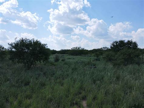 Sandy Lane Mason County - Powell Land Resources, LLC