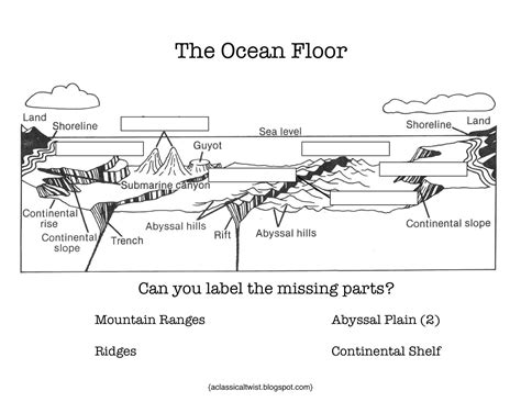 Ocean Floor Digram