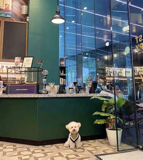 Dog Friendly Cafe | Dog Friendly Cafes in Penrith, Lake District – WAMDYW