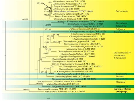 Morphological and Phylogenetic Analyses Reveal Five New Species in ...