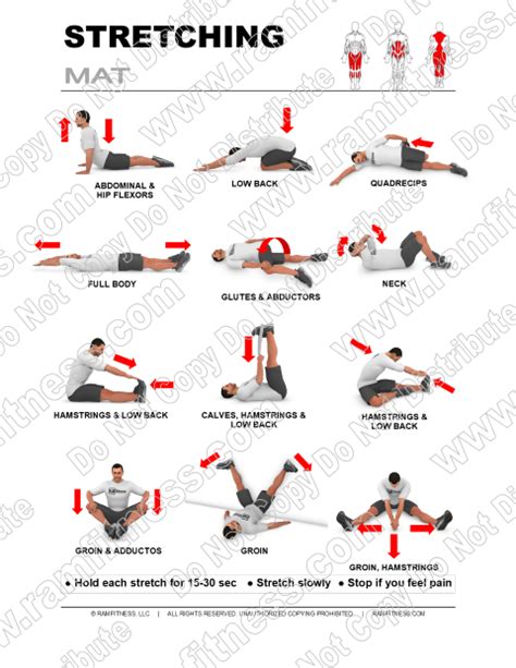 Stretching Exercise Chart 的图像结果